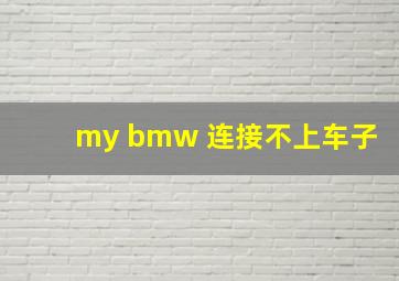 my bmw 连接不上车子